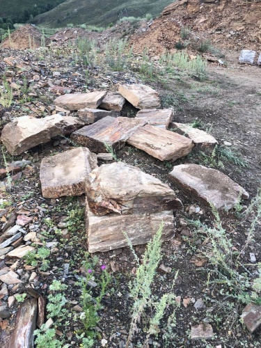 Плитняк кора дерева 50-100мм для пошаговых дорожек купить в Астраханской области